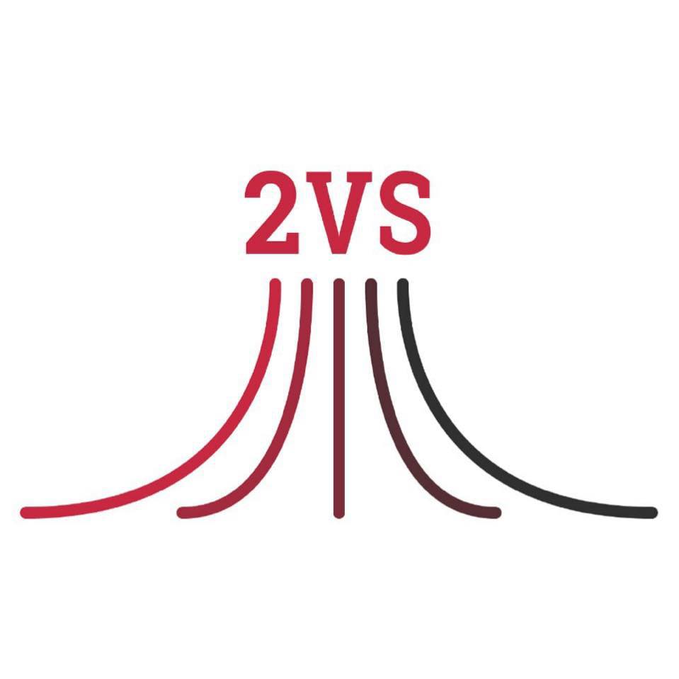 2vs.jpg