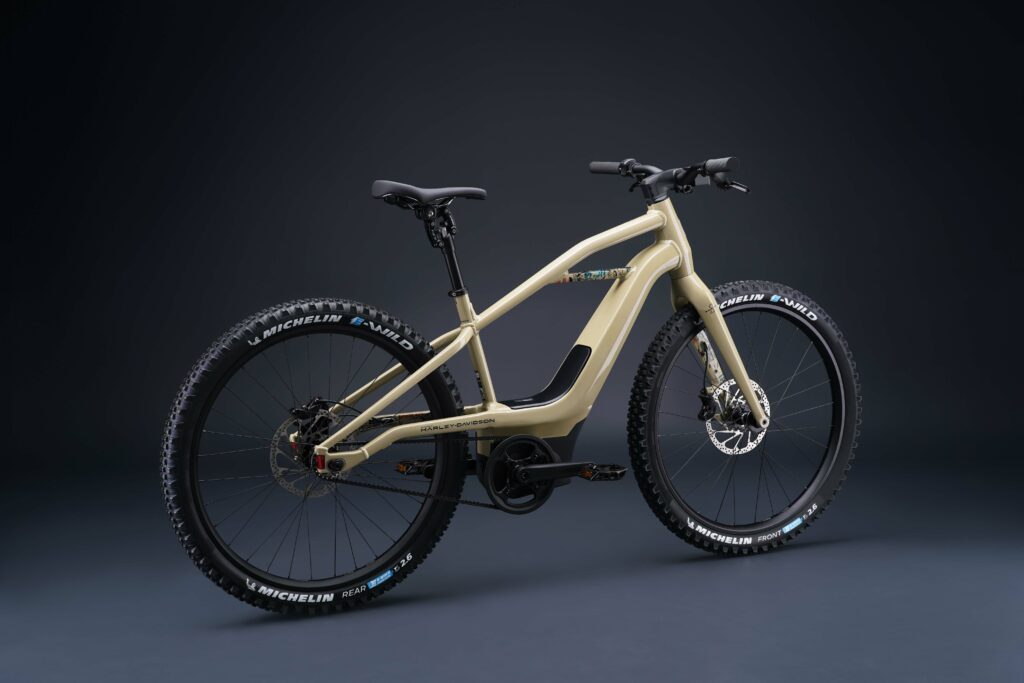2022 Serial 1 BASH/MTN e-mtb_1.jpg