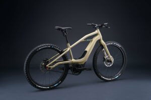 2022 Serial 1 BASH/MTN e-mtb_1.jpg