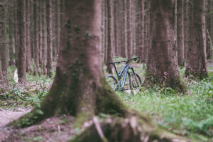 Boardman-MTB-07980.jpg