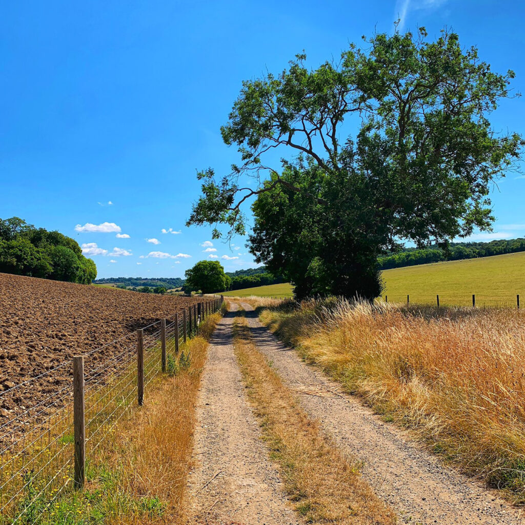 Chilterns-Gravel-Cycling-Sq1