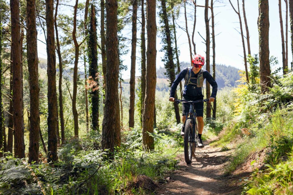 Cwmcarn-MTB-trail-guide-Decathon-112.jpg