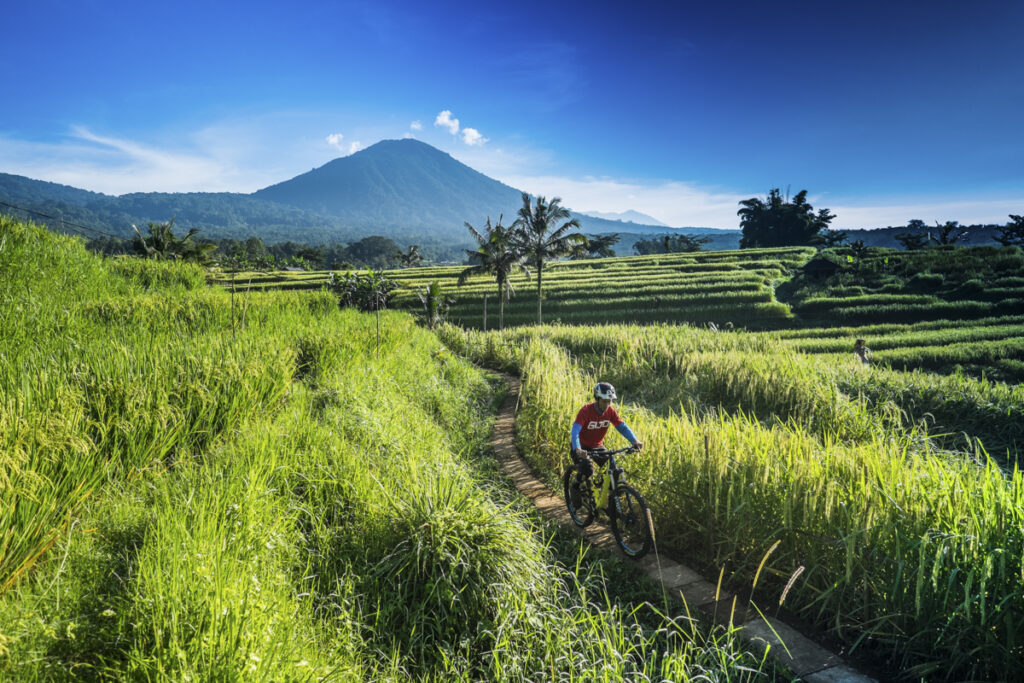 Steve Thomas, Bali
