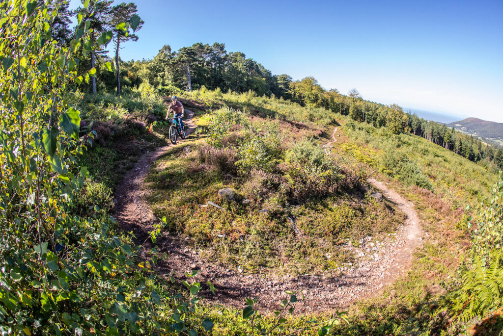 EX-Enduro-e-bike-racing-2019-102-2