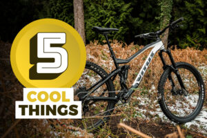 Five cool things header.jpg