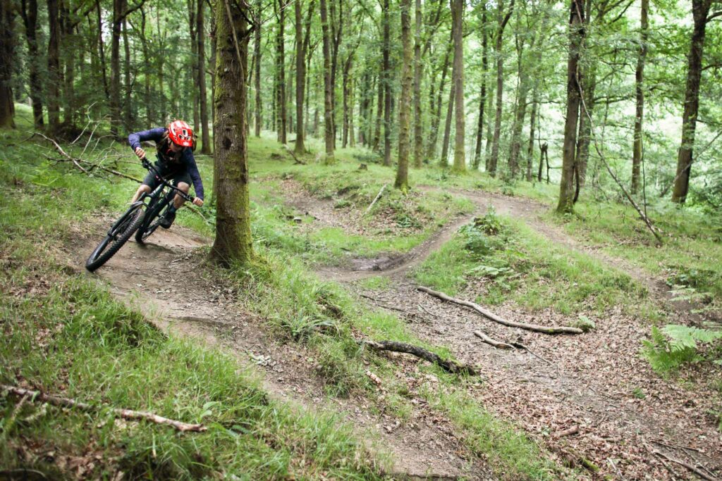 Forest of Dean Trail Guide-109.jpg
