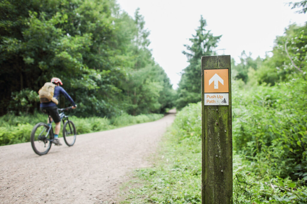 Forest of Dean Trail Guide-114