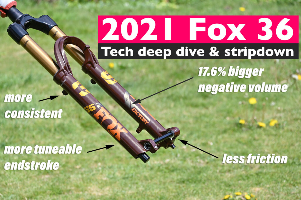 Fox-36-placeholder-web.jpg