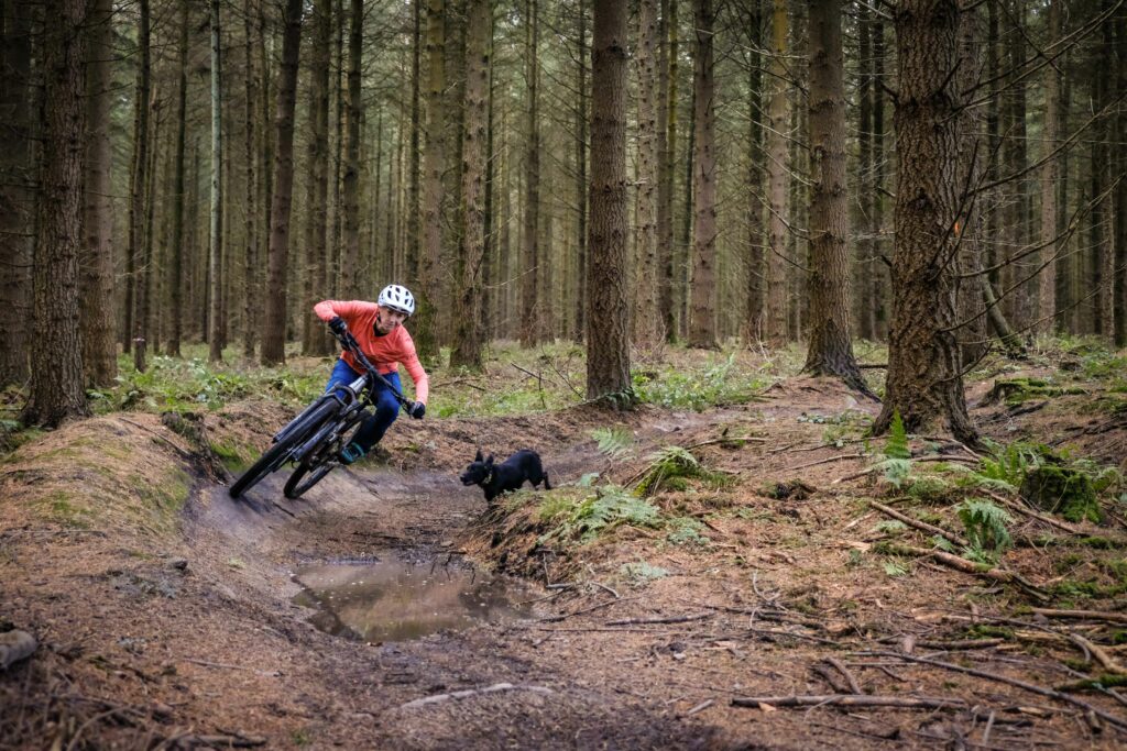 Giant Trance 29 3 Riding-14