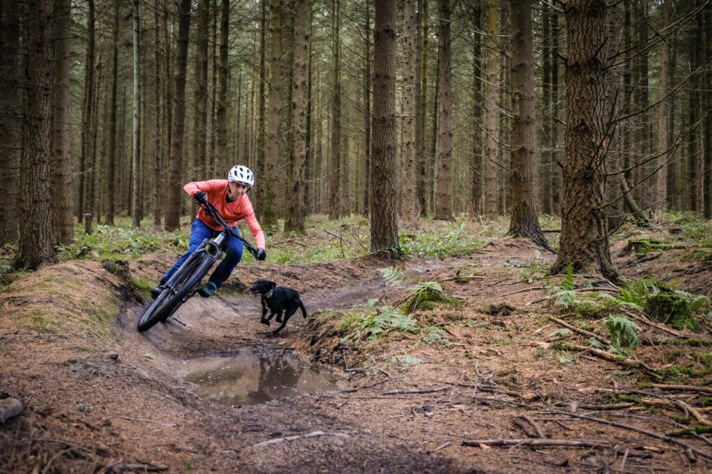 Giant Trance 29 3 Riding-15