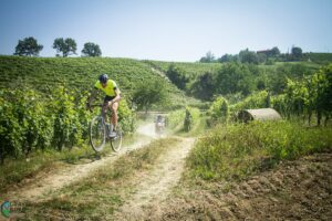 Gravel Road Series-7 12.24.51.jpg