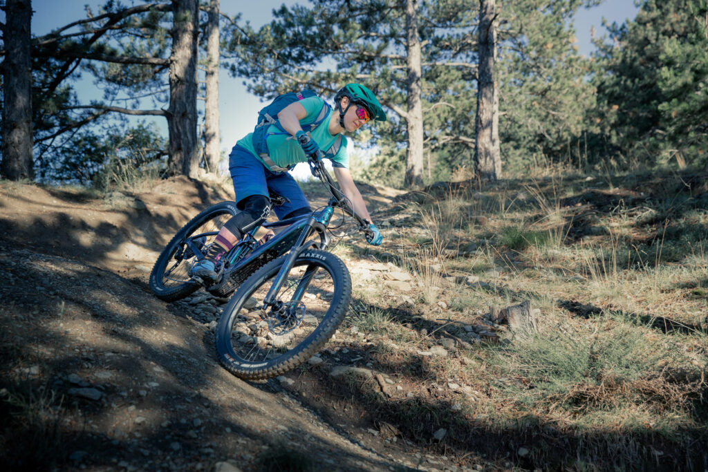 Liv Cycling Intrigue E+1 Detail e-bike Riding