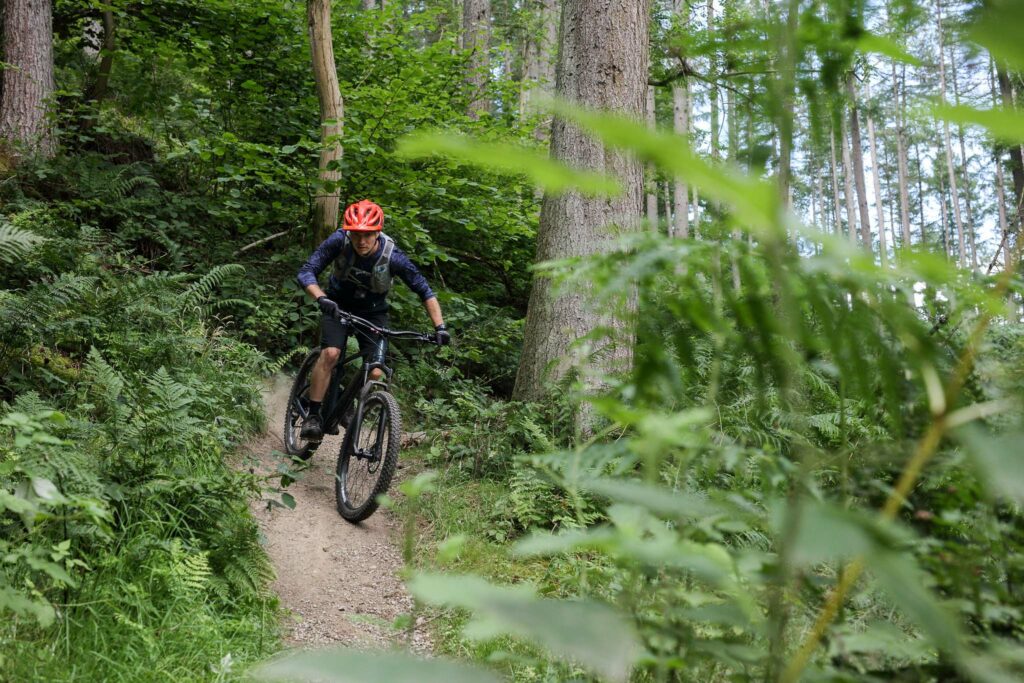 Hopton Trail Guide-103.jpg