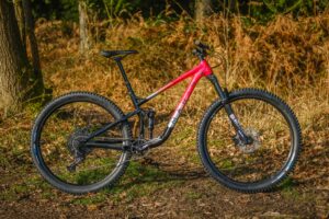 Marin Rift Zone 2 detail -1.jpg