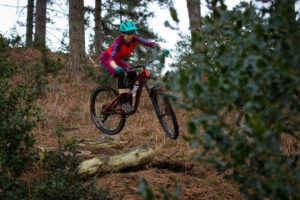 Norco Range A3 650b review