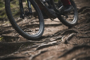 2022 Orbea Oquo wheels hero .jpg