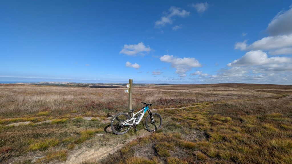 NY Moors 8