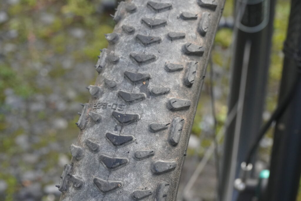 Schwalbe G-One RX Pro Boomerang