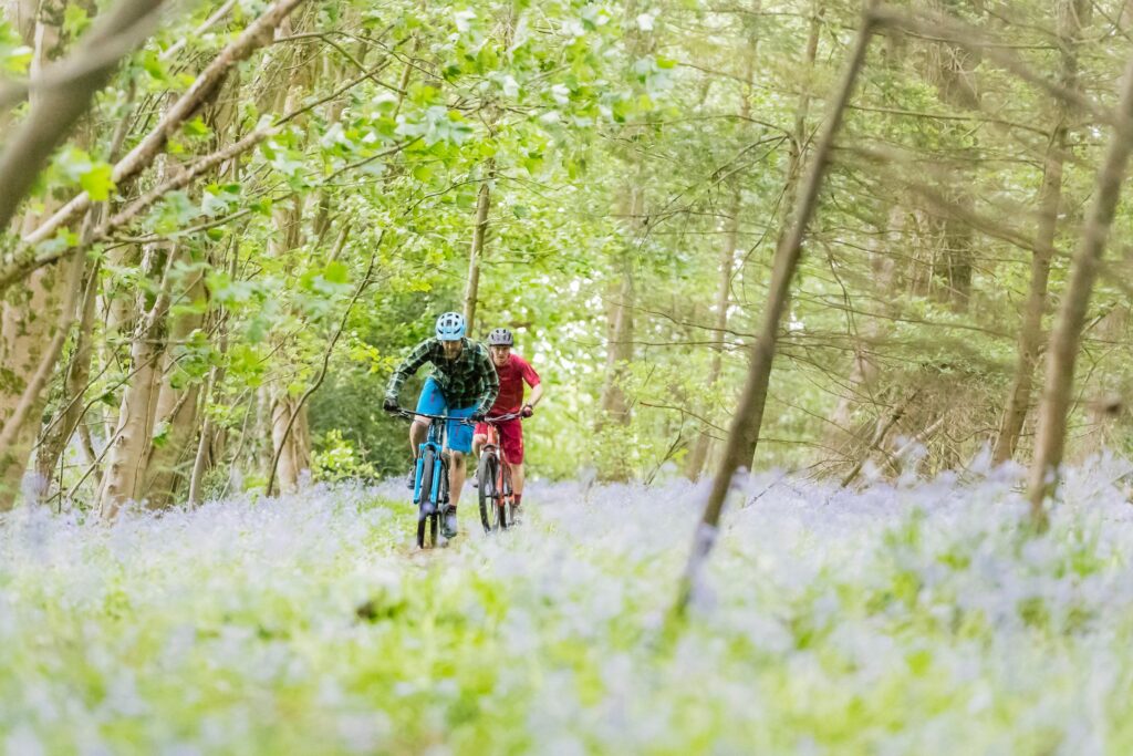 Riding singletrack