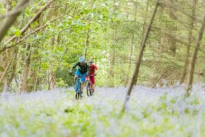 Riding singletrack