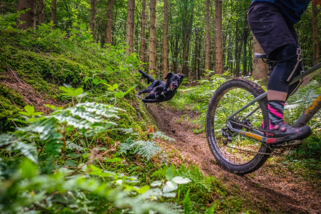 Sonder Transmitter NX1 Revelation Riding-2