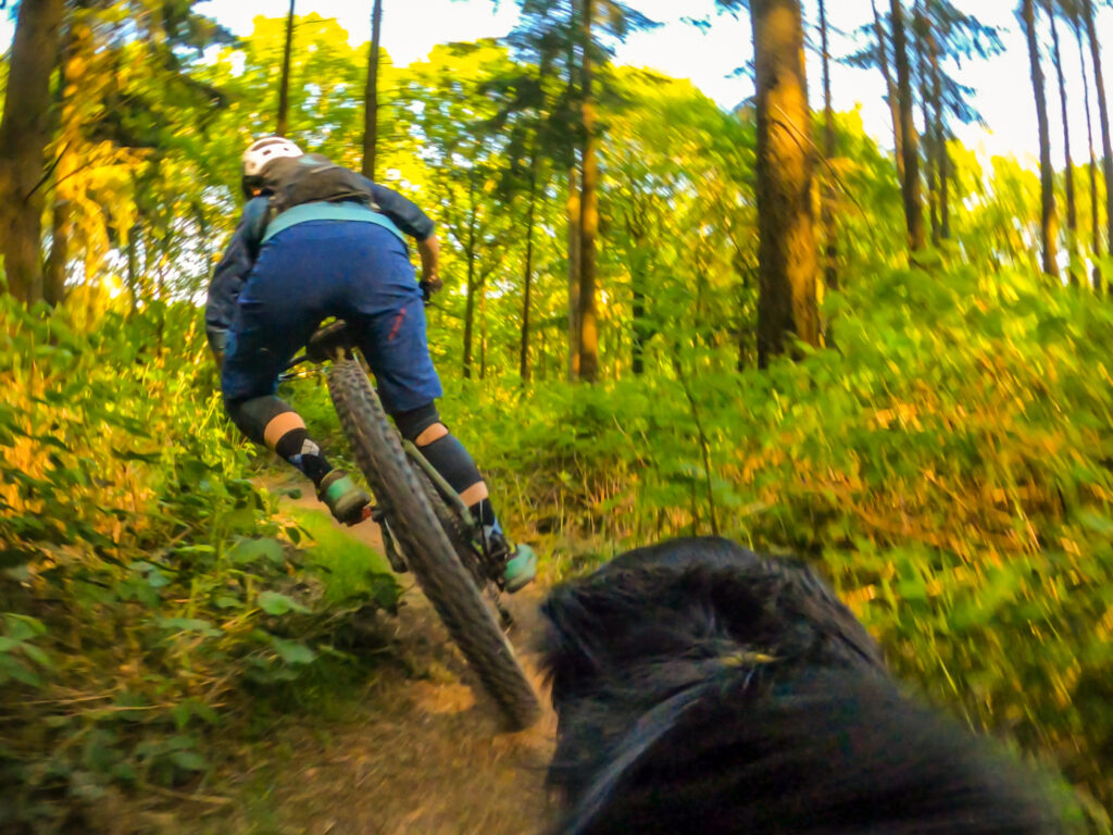 Vitus Mythique 29 VRS Riding