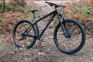 Vitus Sentier 29 VR 2019 review