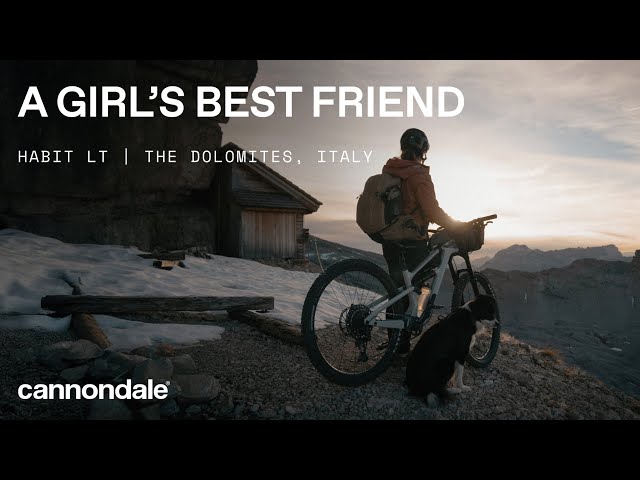 cannondale