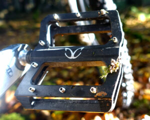 eXotic Alloy Flat pedals review