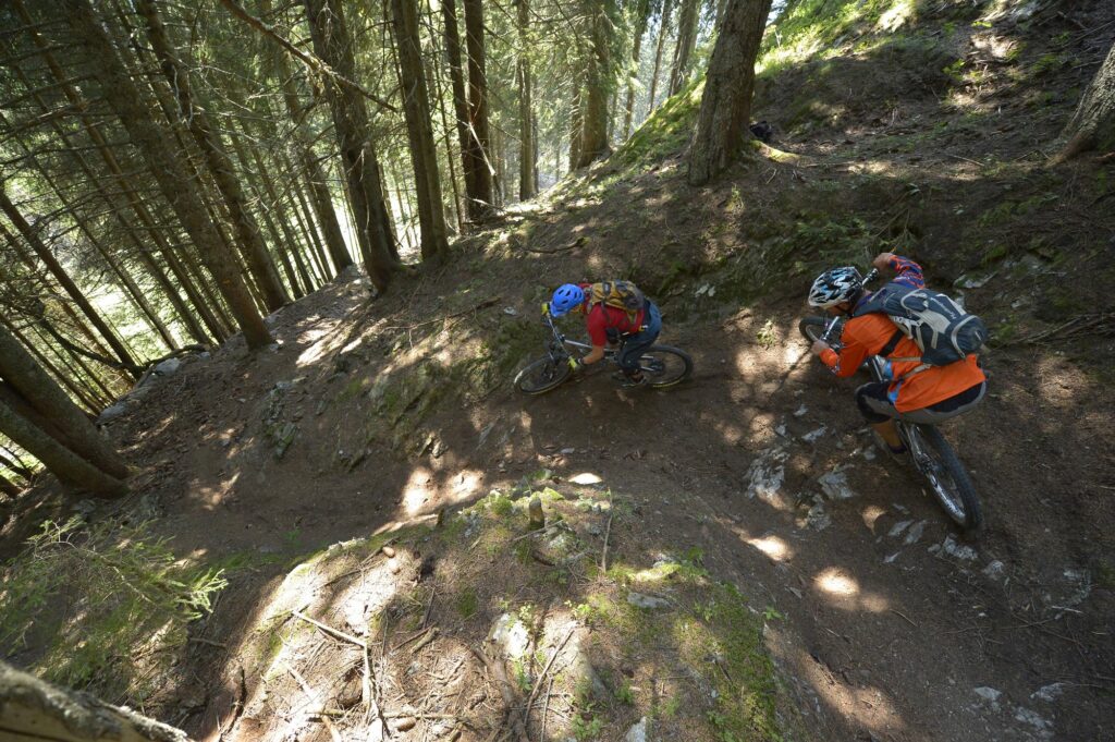 enduro2.jpg