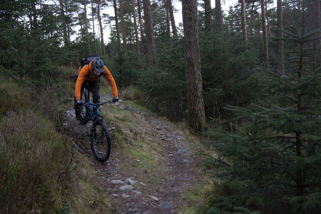 grizedale-trail-centre-01.jpg