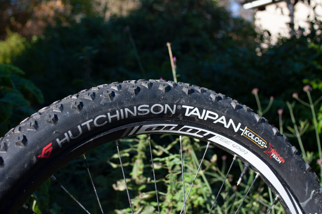 hutchinson-taipan-koloss-2.jpg