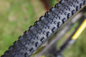 Maxxis Minion SS 29&Prime; TR/DD tyre review