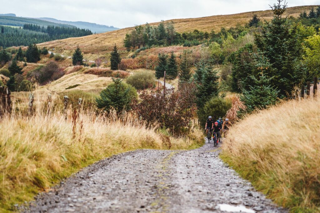 Frontier 300 road