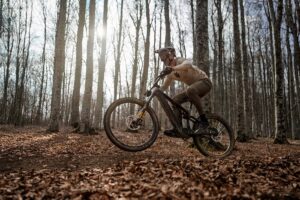 Mahle M40 riding