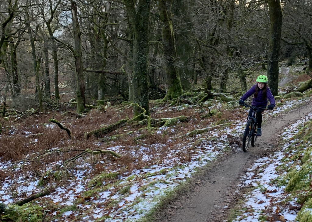 quercus-trail-whinlatter-trail-guide-1.jpg