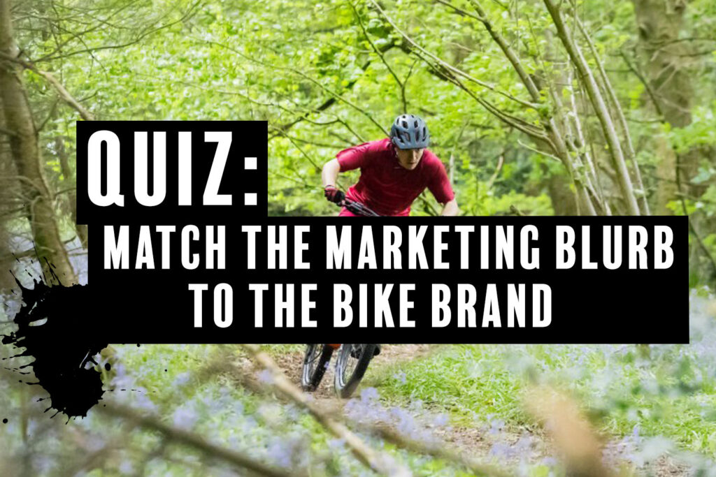 quiz-marketing-to-bike-brand.jpg