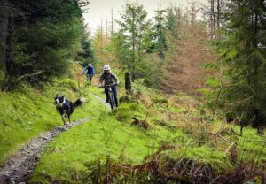 whinlatter-pete-archer-photos-3.JPG