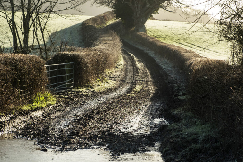 winter riding cold frost puddle water 002