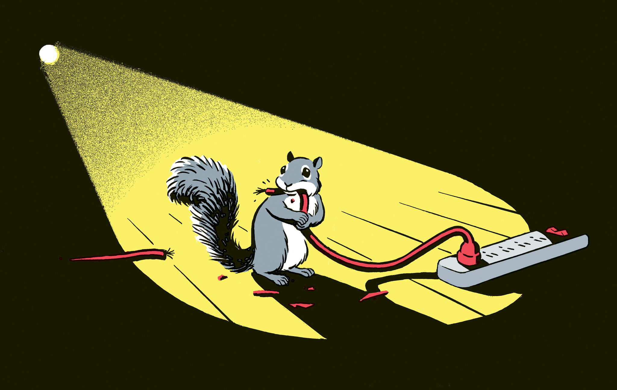https://cdn.road.cc/wp-content/uploads/roadcc/01SQUIRRELjp-superJumbo-7448614.jpeg