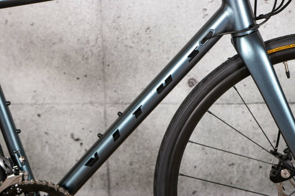 2022 Vitus Razor Disc Claris – down tube.jpg