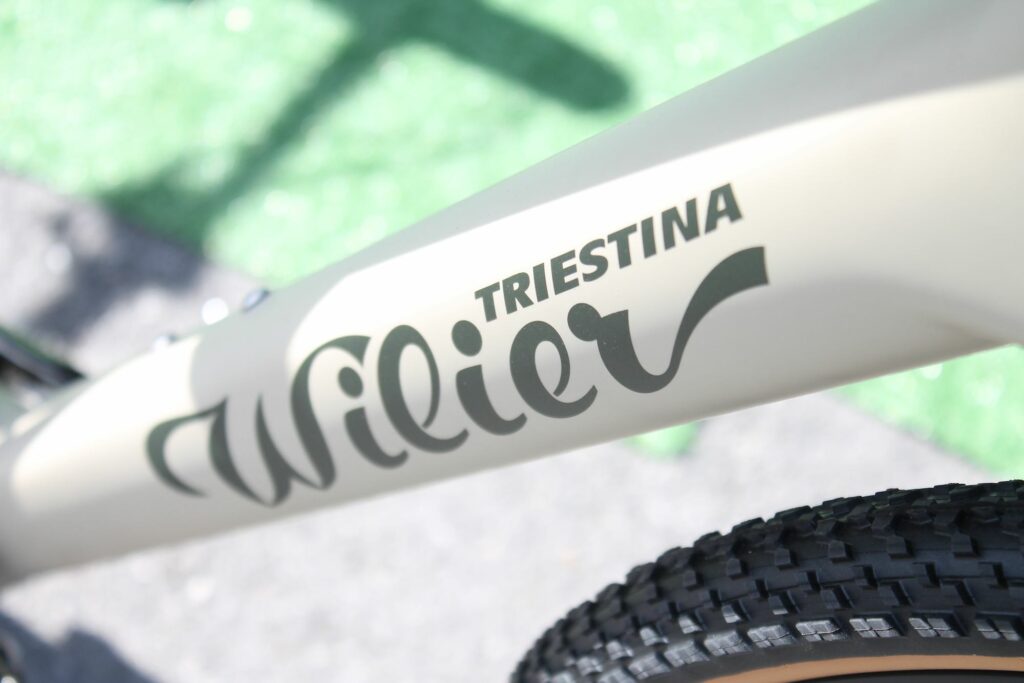 2022 Wilier Rave SLR - 2