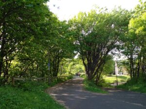 Roseburn Path, Edinburgh