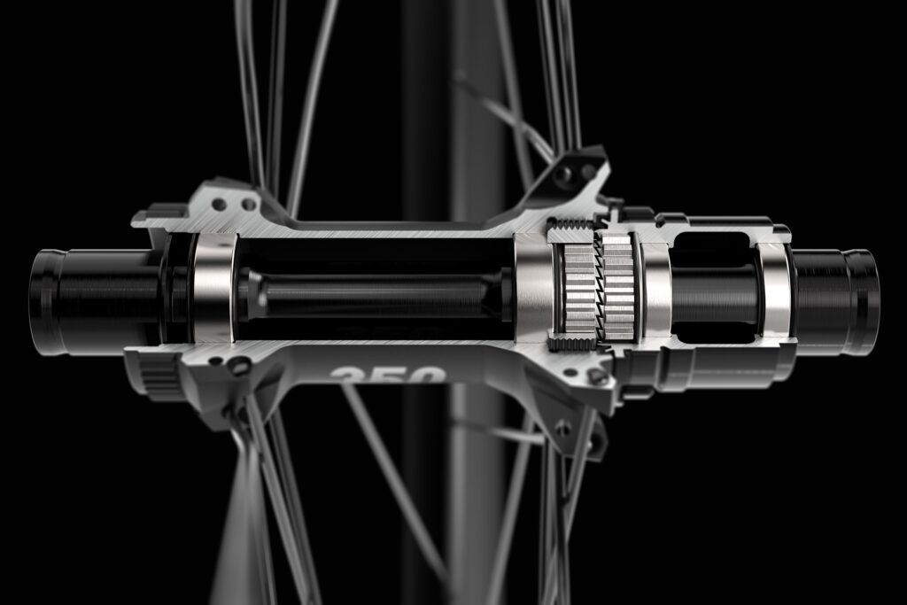2023 DT Swiss 350 hub – 1