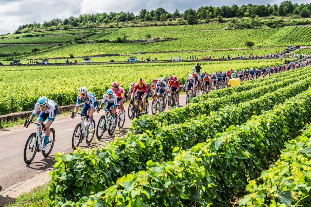 2024 Tour de France peloton