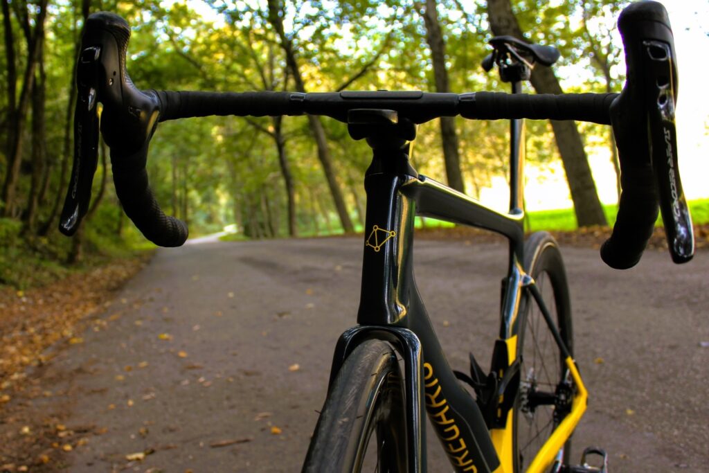 2025 Gregario Vera AR head tube