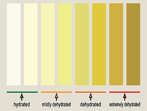 Urine Hydration chart