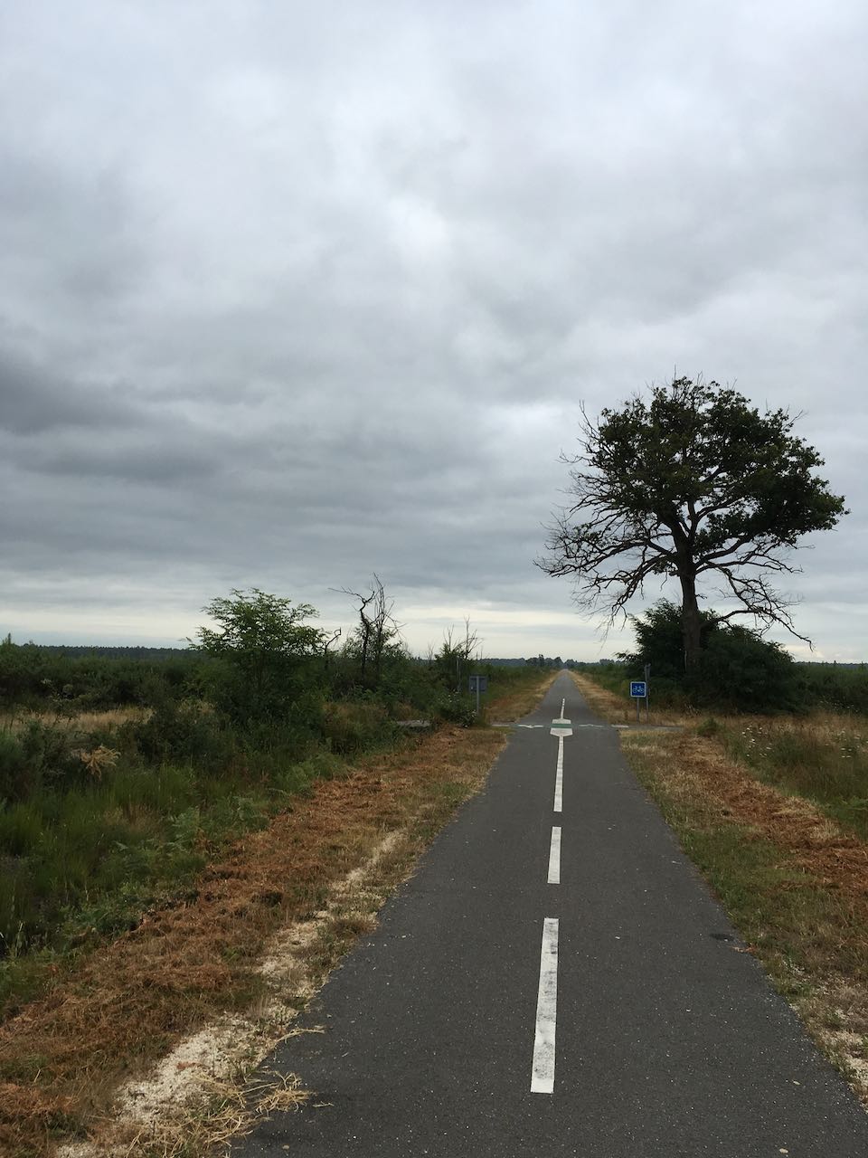 https://cdn.road.cc/wp-content/uploads/roadcc/IMG_3132.jpeg
