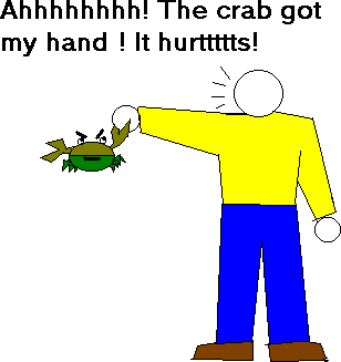 https://cdn.road.cc/wp-content/uploads/roadcc/IMG_5911.gif