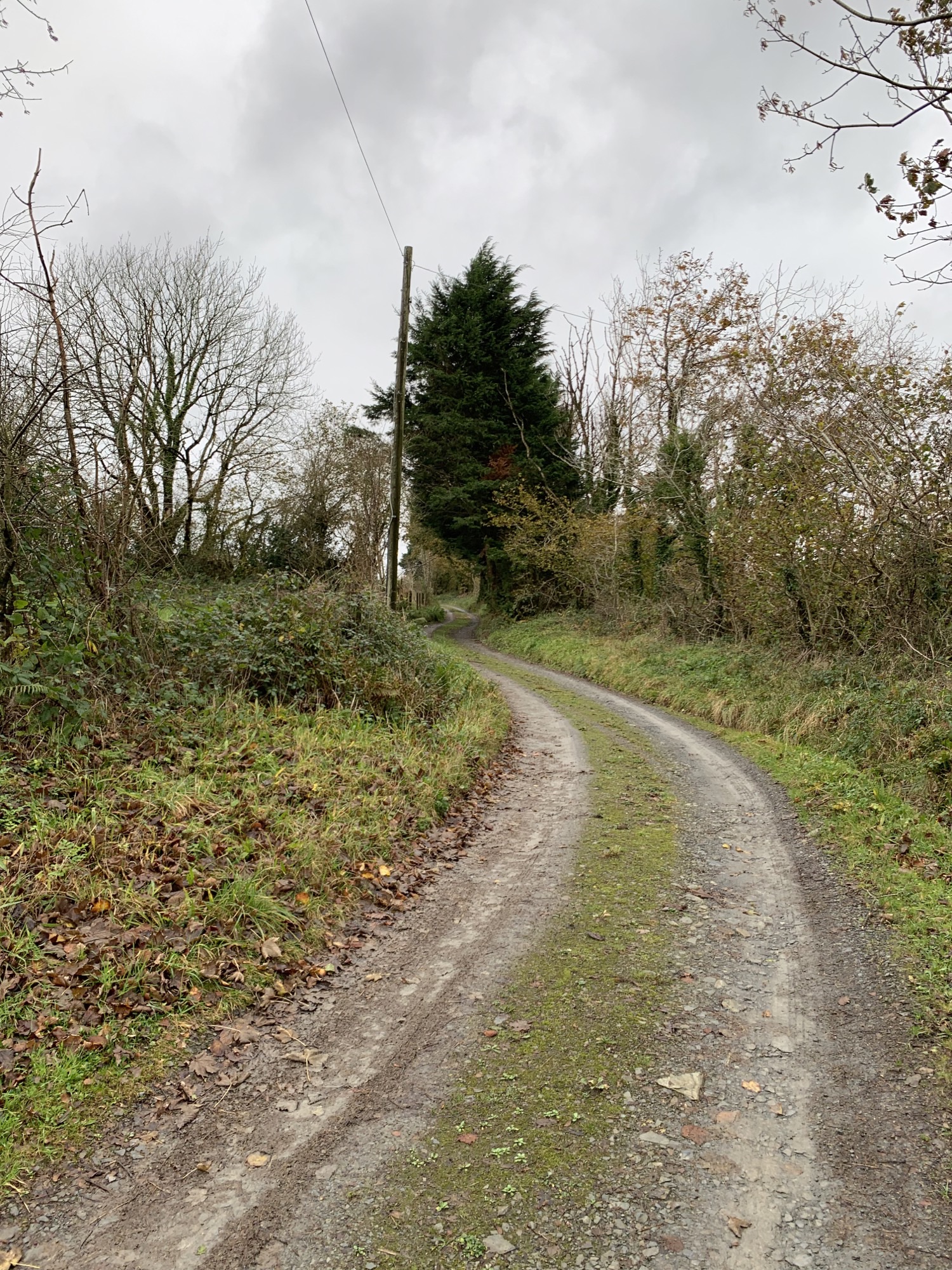 https://cdn.road.cc/wp-content/uploads/roadcc/Image_0.jpeg
